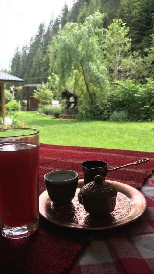 Sastanci-Grahovaca Villa Rozhajë Dış mekan fotoğraf