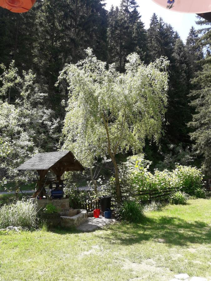 Sastanci-Grahovaca Villa Rozhajë Dış mekan fotoğraf